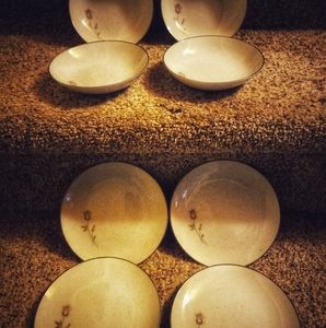 Rose appetizer plates & bowls